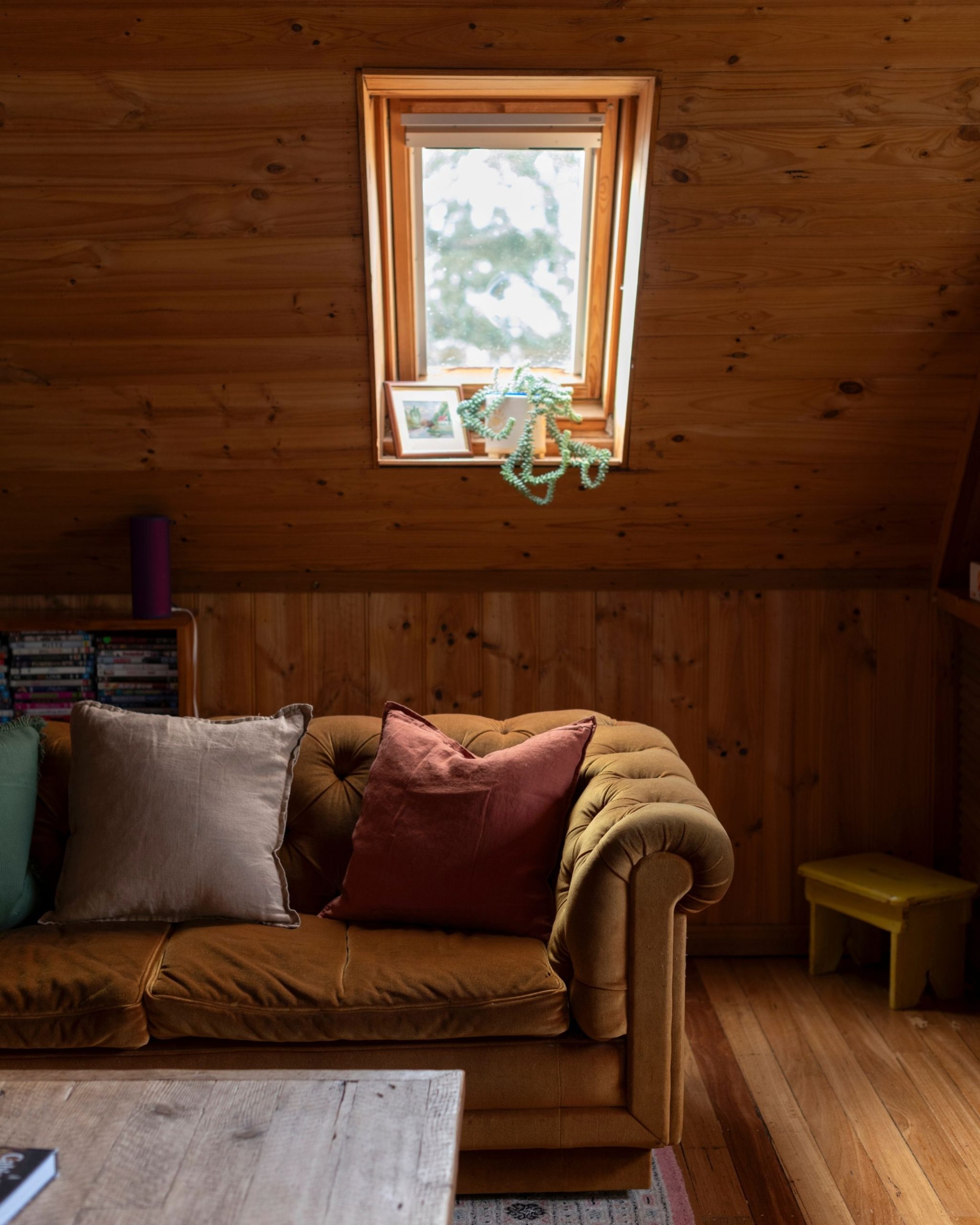 cosy couch