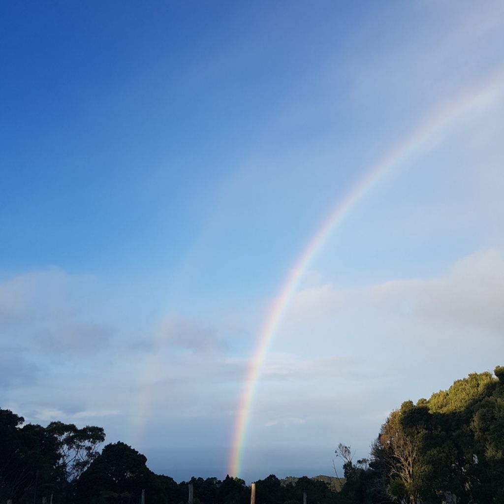 rainbow