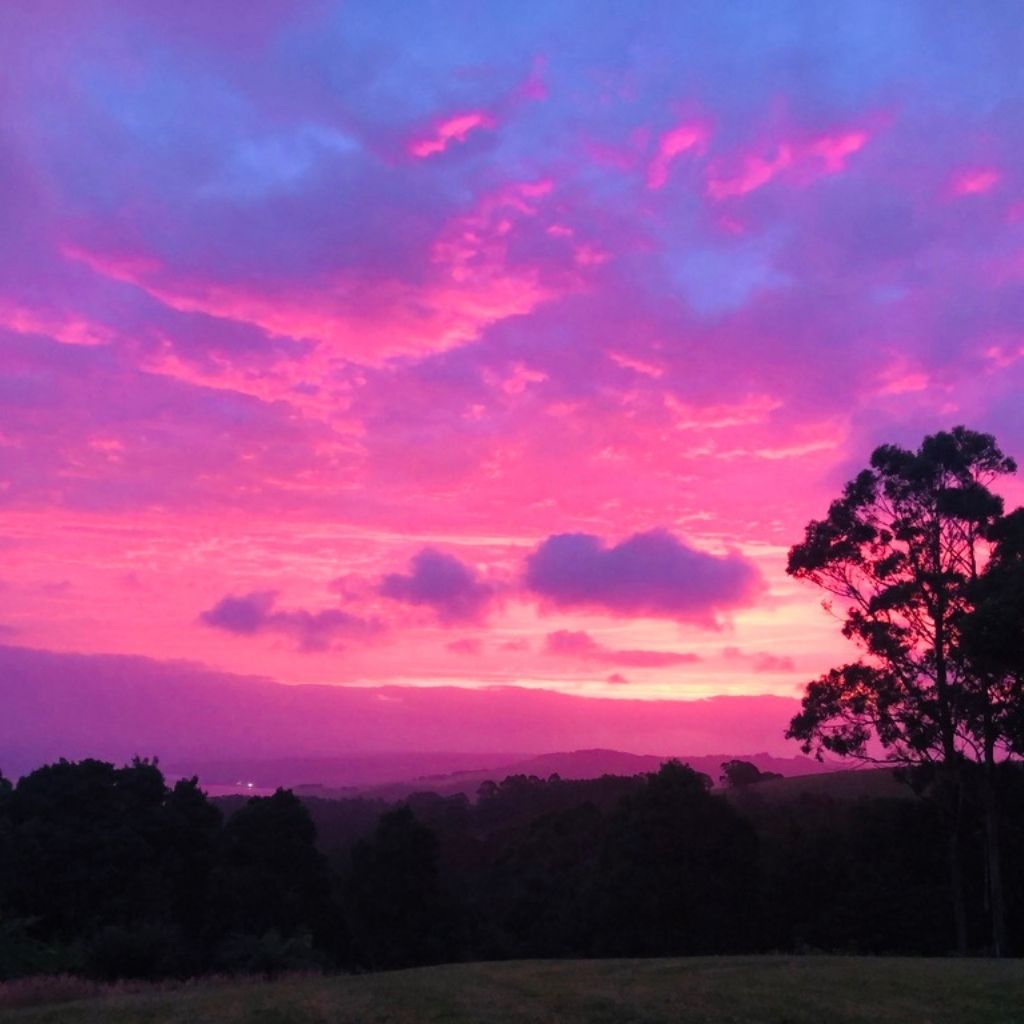 pink sky